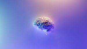 脳の状態がわかるBrainSuiteをご存知ですか～MRI画像をAIで解析する、東北大発の検査