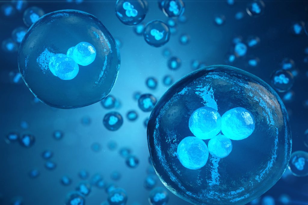 幹細胞上清液とは？点滴での効果や費用について解説